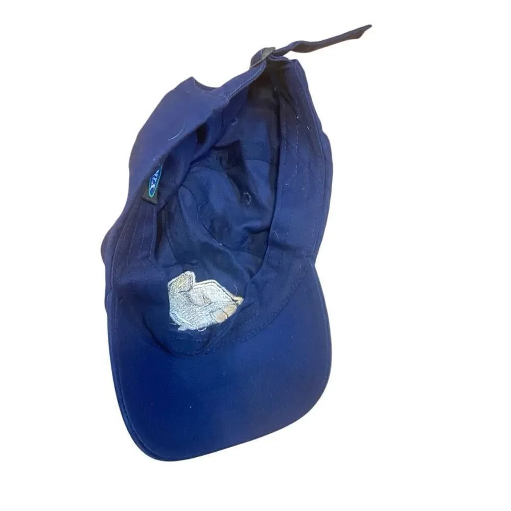 Akron zips adjustable hat, blue white